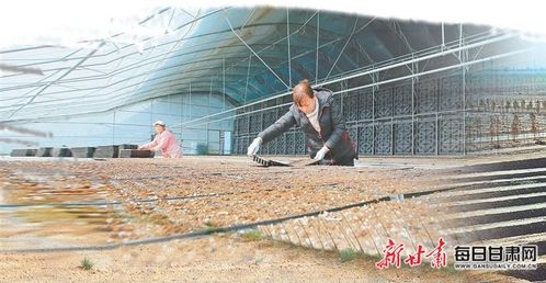 陇原春意浓 耕播正当时——甘肃省各地抢抓农时忙春耕掠影（下）农膜篇