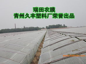 为什么山东青州瑞田农膜成为种植户的首选？